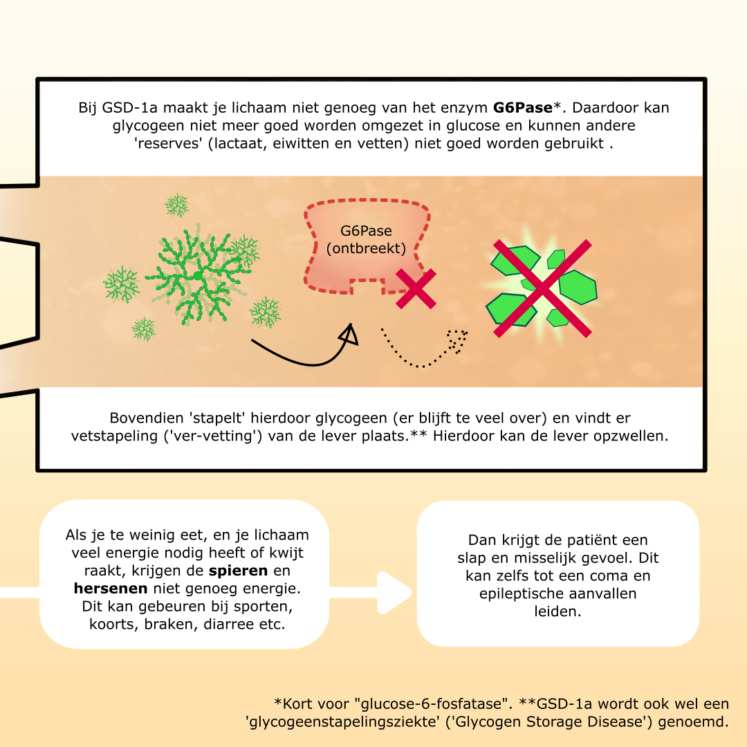 GSD-1a infographic afbeelding 7